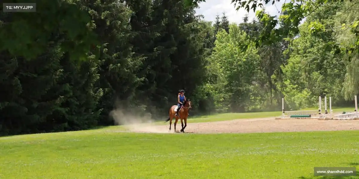 米兰官网⚽每一次挥汗,都是对自己的超越!加入我们,释放运动能量~